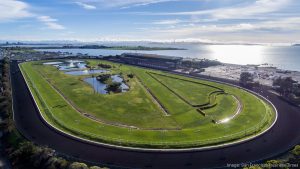 Another California Boondoggle in the Making? 1 goldengatefields021321tj 5 900xx3924 2207 0 367