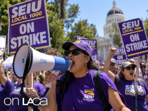 California State Workers Set to Strike, Expect Delays at DMV, Unemployment Office 1 Union Rally at the Capitol