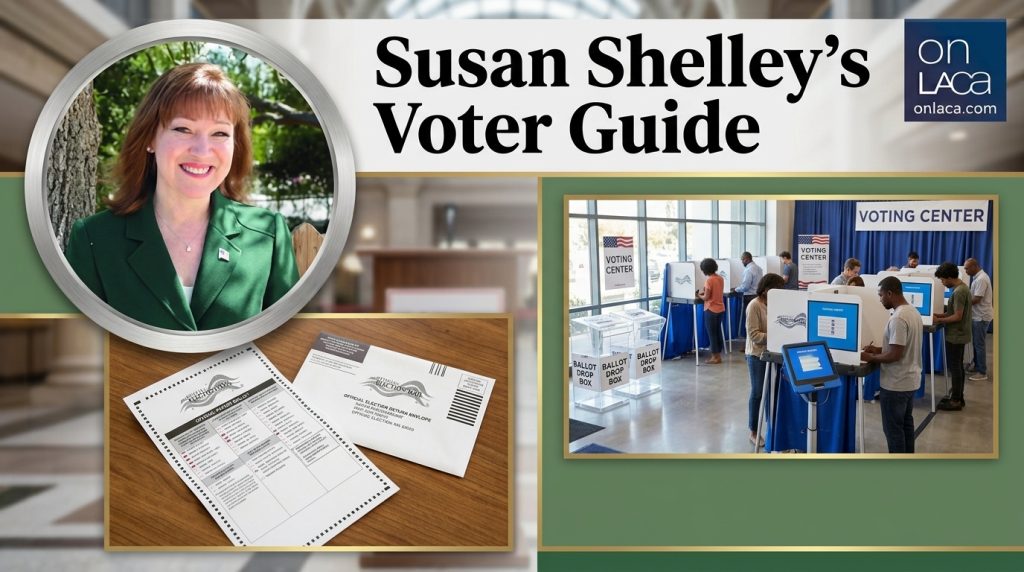 vote like your life dsepends on it shelly guide